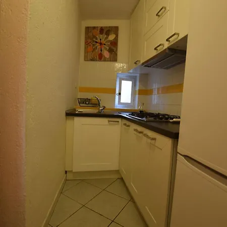 Bouganville 2